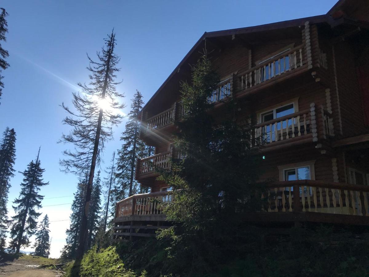 Alpin Eco Chalet&Wellness Drahobrat Exterior foto