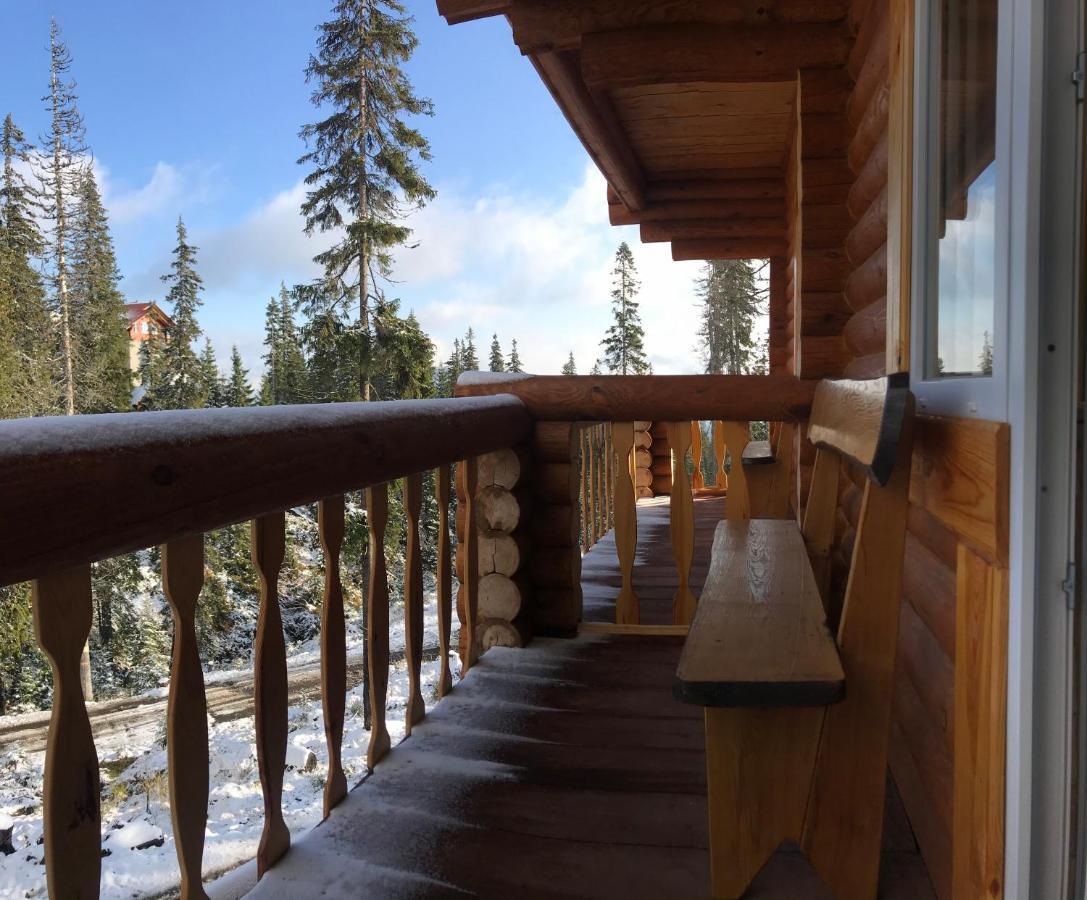 Alpin Eco Chalet&Wellness Drahobrat Exterior foto